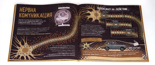 Илюстрован разтвор от детска книга